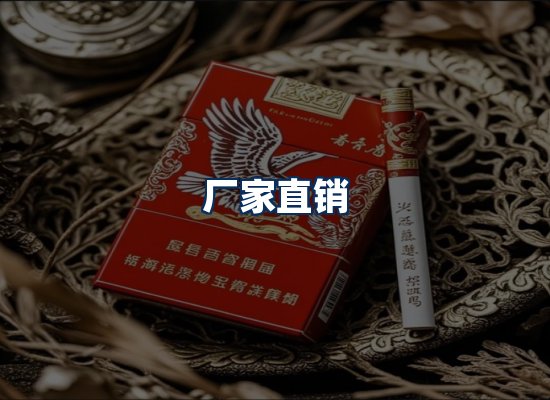 专业团队办公环境